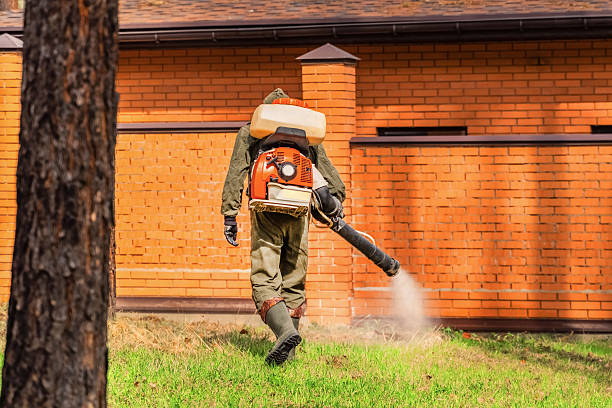 Trusted Rodent Control service in Crooked River Ranch, OR - Nex Pest Control